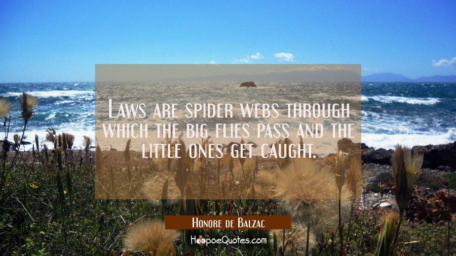 Laws are spider webs through which the big flies pass and the little ones get caught. Honore de Balzac Quotes