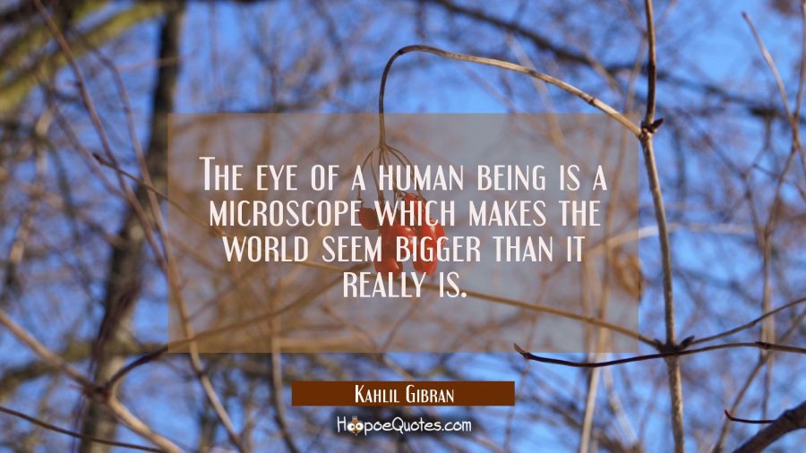 The eye of a human being is a microscope which makes the world seem bigger than it really is. Kahlil Gibran Quotes