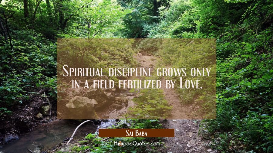 Spiritual discipline grows only in a field fertilized by Love. Sai Baba Quotes