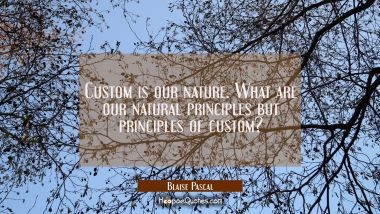 Custom is our nature. What are our natural principles but principles of custom?