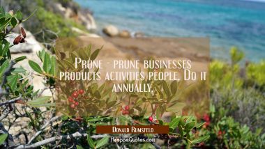 Prune - prune businesses products activities people. Do it annually. Donald Rumsfeld Quotes