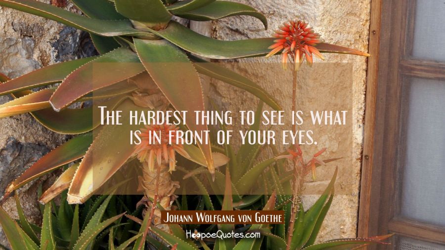 The hardest thing to see is what is in front of your eyes. Johann Wolfgang von Goethe Quotes