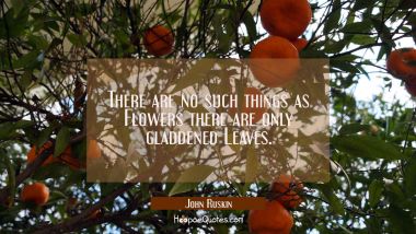 There are no such things as Flowers there are only gladdened Leaves.