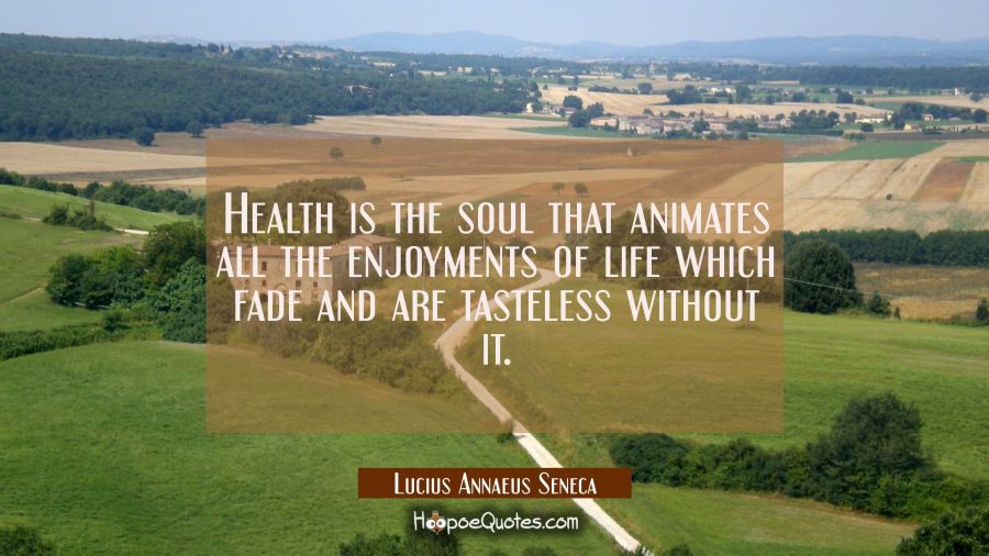Health is the soul that animates all the enjoyments of life which fade and are tasteless without it Lucius Annaeus Seneca Quotes
