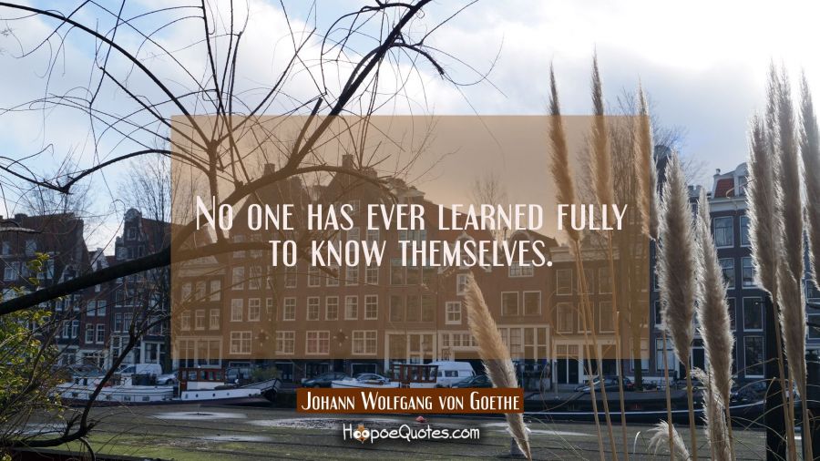 No one has ever learned fully to know themselves. Johann Wolfgang von Goethe Quotes