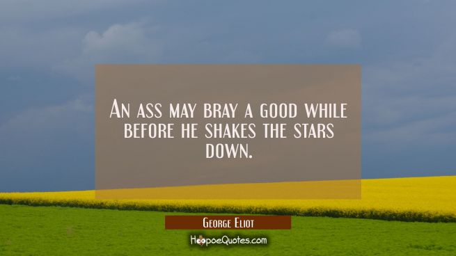 An ass may bray a good while before he shakes the stars down.