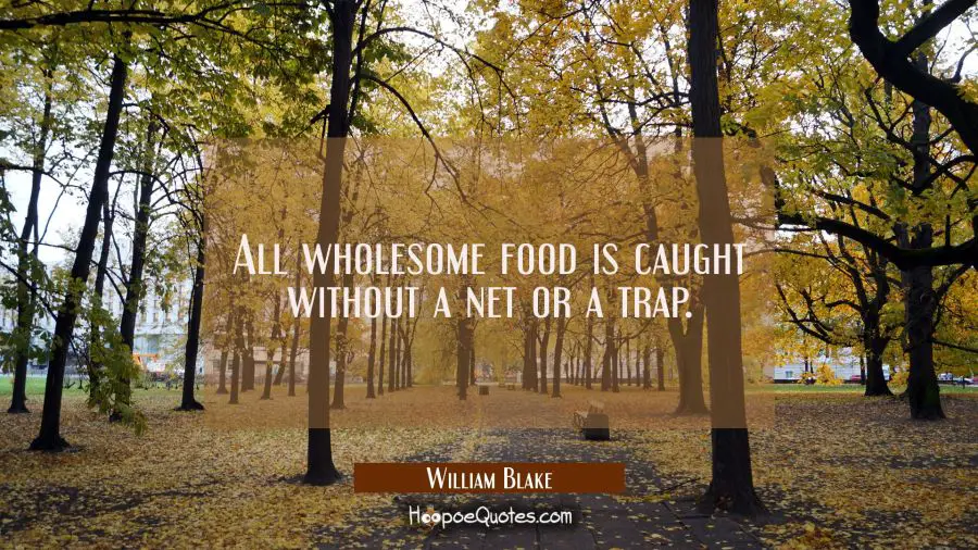 All wholesome food is caught without a net or a trap. William Blake Quotes