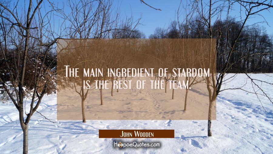The main ingredient of stardom is the rest of the team. John Wooden Quotes