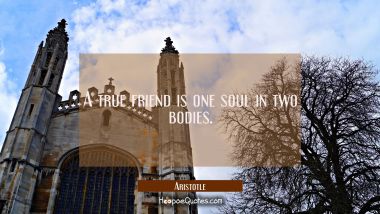 A true friend is one soul in two bodies. Aristotle Quotes
