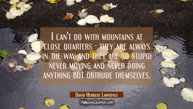 I can&#039;t do with mountains at close quarters - they are always in the way and they are so stupid nev David Herbert Lawrence Quotes