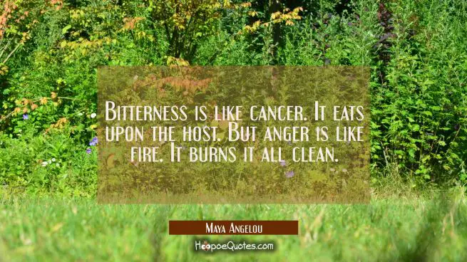 Bitterness is like cancer. It eats upon the host. But anger is like fire. It burns it all clean.