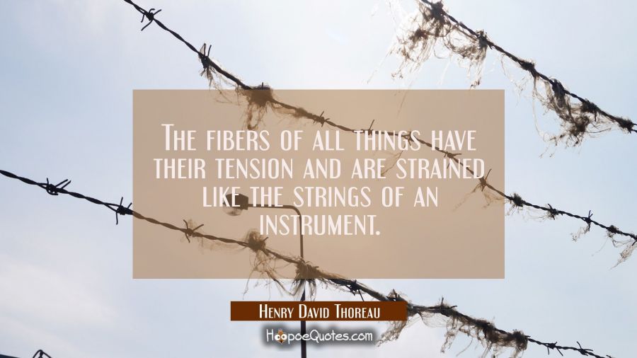 The fibers of all things have their tension and are strained like the strings of an instrument. Henry David Thoreau Quotes