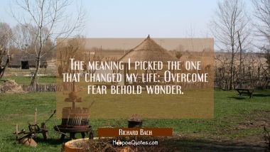 The meaning I picked the one that changed my life: Overcome fear behold wonder.