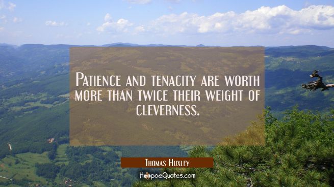Patience and tenacity are worth more than twice their weight of cleverness.