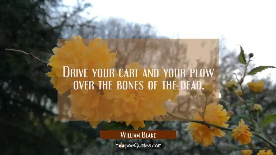 Drive your cart and your plow over the bones of the dead. William Blake Quotes
