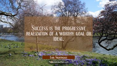 Success is the progressive realization of a worthy goal or ideal.
