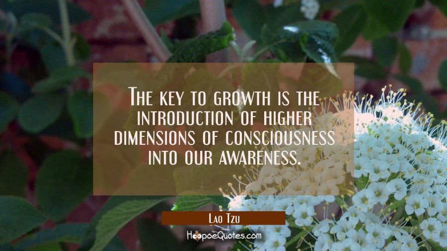 The key to growth is the introduction of higher dimensions of consciousness into our awareness. Lao Tzu Quotes