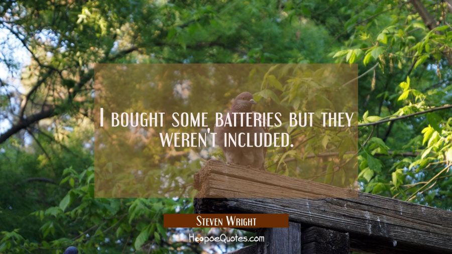 I bought some batteries but they weren't included. Steven Wright Quotes