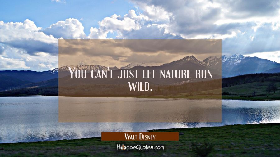 You can't just let nature run wild. Walt Disney Quotes