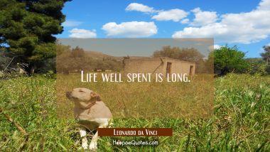 Life well spent is long. Leonardo da Vinci Quotes