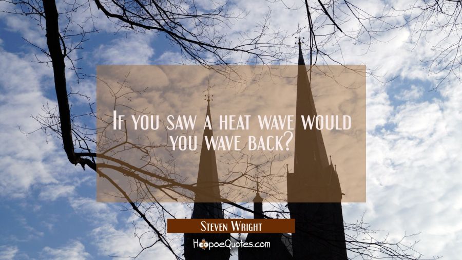 If you saw a heat wave would you wave back? Steven Wright Quotes