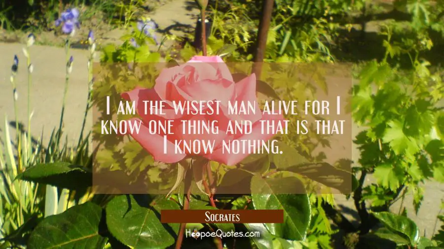 I am the wisest man alive for I know one thing and that is that I know nothing. Socrates Quotes