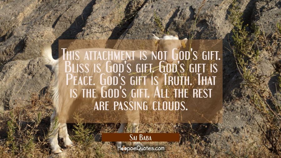 This attachment is not God's gift. Bliss is God's gift. God's gift is Peace. God's gift is Truth. T Sai Baba Quotes
