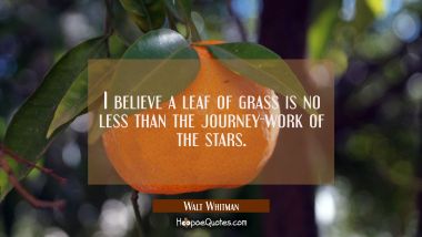 I believe a leaf of grass is no less than the journey-work of the stars. Walt Whitman Quotes