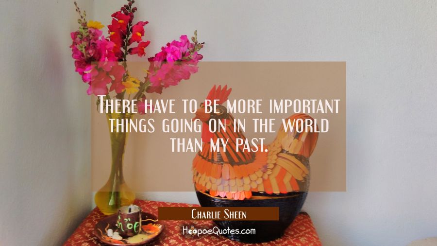 There have to be more important things going on in the world than my past. Charlie Sheen Quotes
