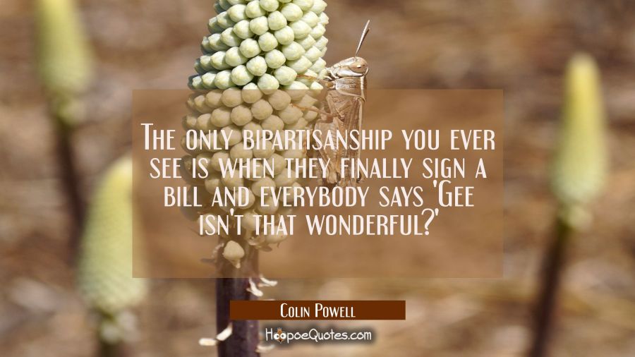 The only bipartisanship you ever see is when they finally sign a bill and everybody says 'Gee isn't Colin Powell Quotes