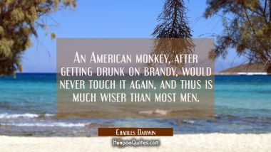 An American monkey after getting drunk on brandy would never touch it again and thus is much wiser Charles Darwin Quotes