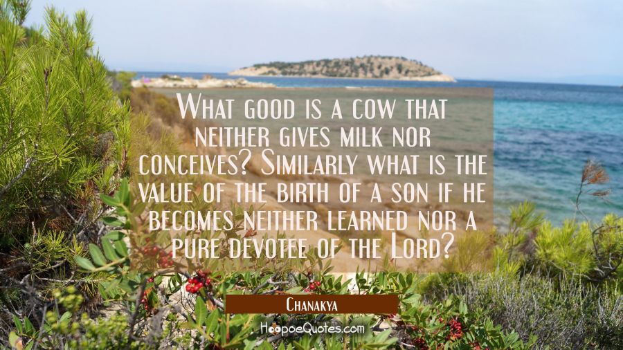 What good is a cow that neither gives milk nor conceives? Similarly what is the value of the birth  Chanakya Quotes