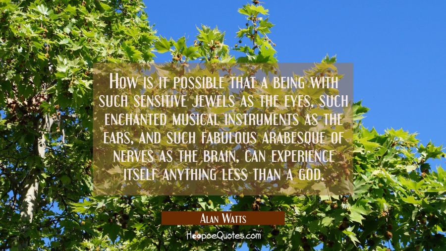 How is it possible that a being with such sensitive jewels as the eyes such enchanted musical instr Alan Watts Quotes
