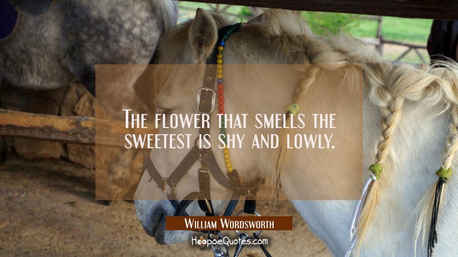 The flower that smells the sweetest is shy and lowly. William Wordsworth Quotes