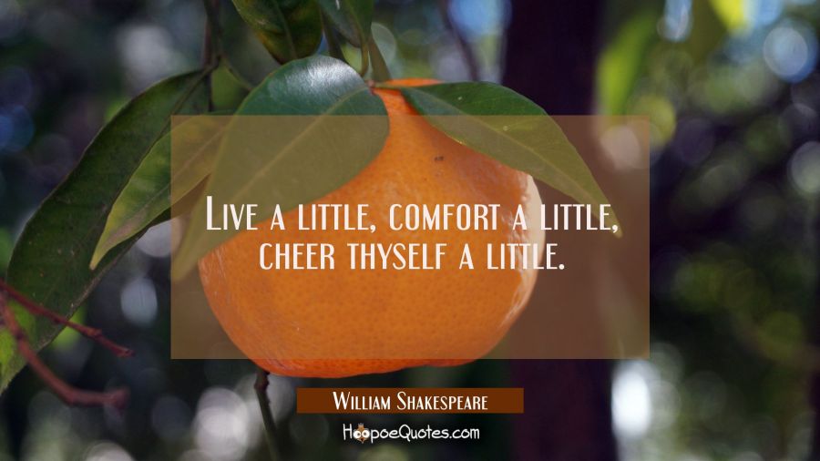 Live a little, comfort a little, cheer thyself a little. William Shakespeare Quotes