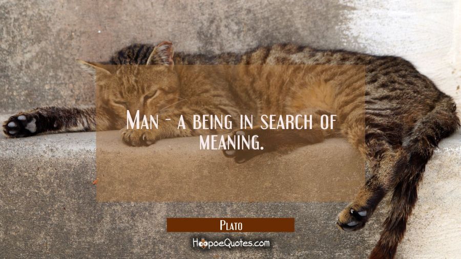 Man - a being in search of meaning. Plato Quotes