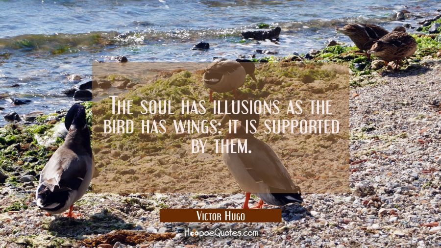 The soul has illusions as the bird has wings: it is supported by them. Victor Hugo Quotes