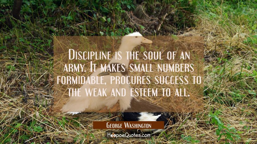 Discipline is the soul of an army. It makes small numbers formidable, procures success to the weak George Washington Quotes