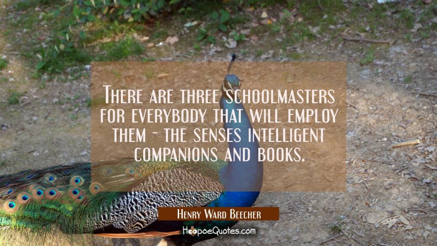 There are three schoolmasters for everybody that will employ them - the senses intelligent companio Henry Ward Beecher Quotes