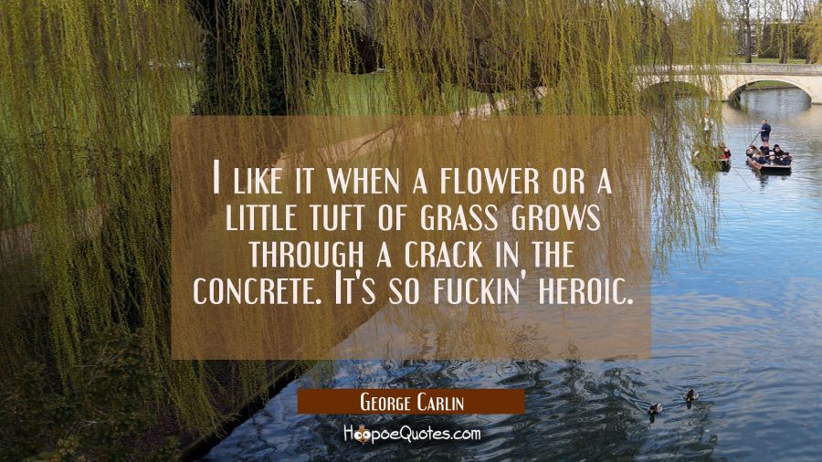 I like it when a flower or a little tuft of grass grows through a crack in the concrete. It's so fu George Carlin Quotes
