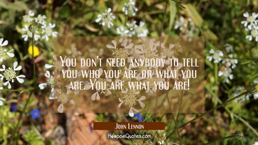 You don't need anybody to tell you who you are or what you are. You are what you are! John Lennon Quotes