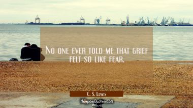 No one ever told me that grief felt so like fear. C. S. Lewis Quotes