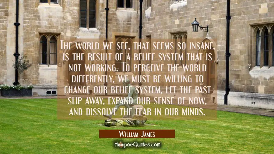 The world we see that seems so insane is the result of a belief system that is not working. To perc William James Quotes