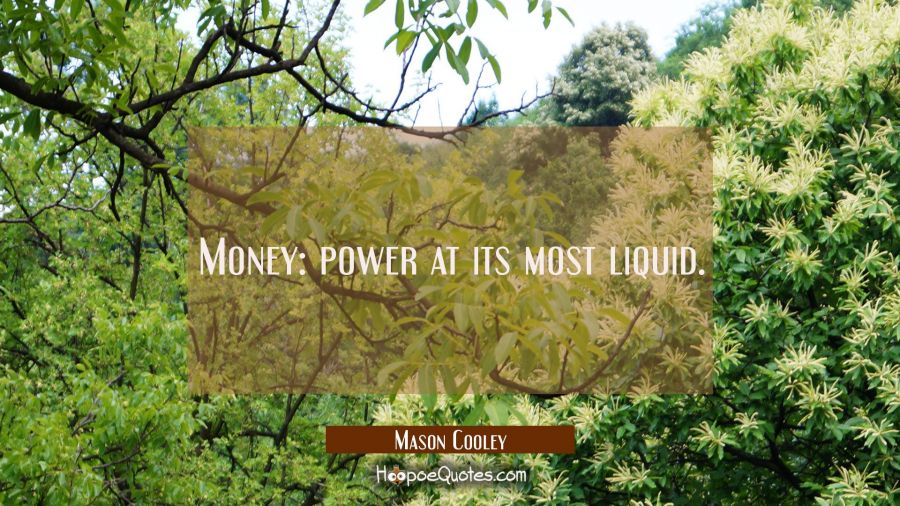 Money: power at its most liquid. Mason Cooley Quotes