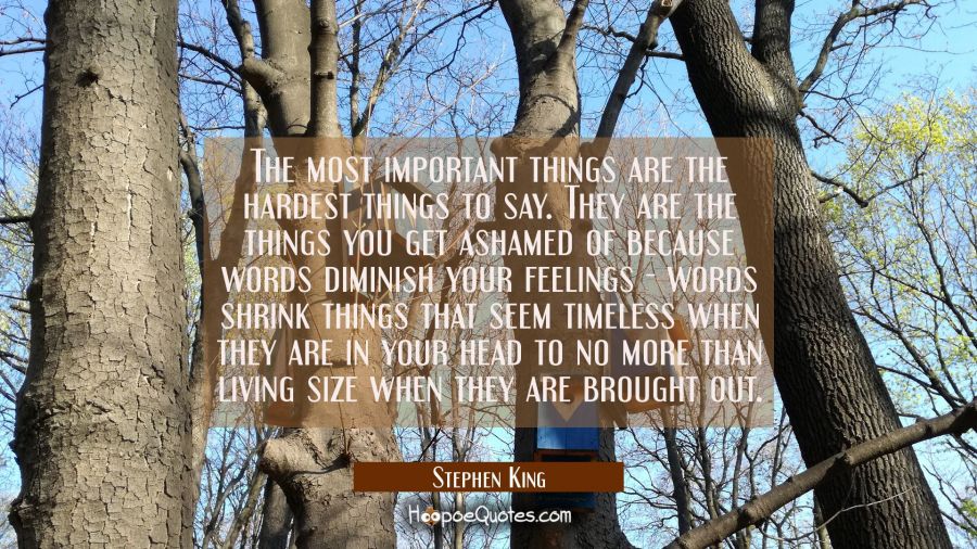 The most important things are the hardest things to say. They are the things you get ashamed of bec Stephen King Quotes