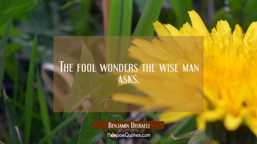 The fool wonders the wise man asks. Benjamin Disraeli Quotes