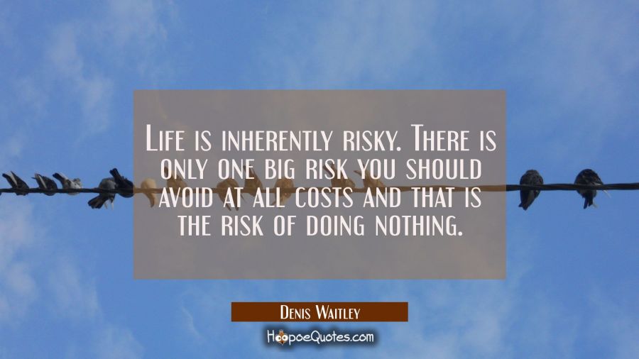 Life is inherently risky. There is only one big risk you should avoid at all costs and that is the  Denis Waitley Quotes
