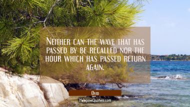 Neither can the wave that has passed by be recalled nor the hour which has passed return again.
