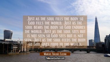 Just as the soul fills the body so God fills the world. Just as the soul bears the body so God endu Marcus Tullius Cicero Quotes