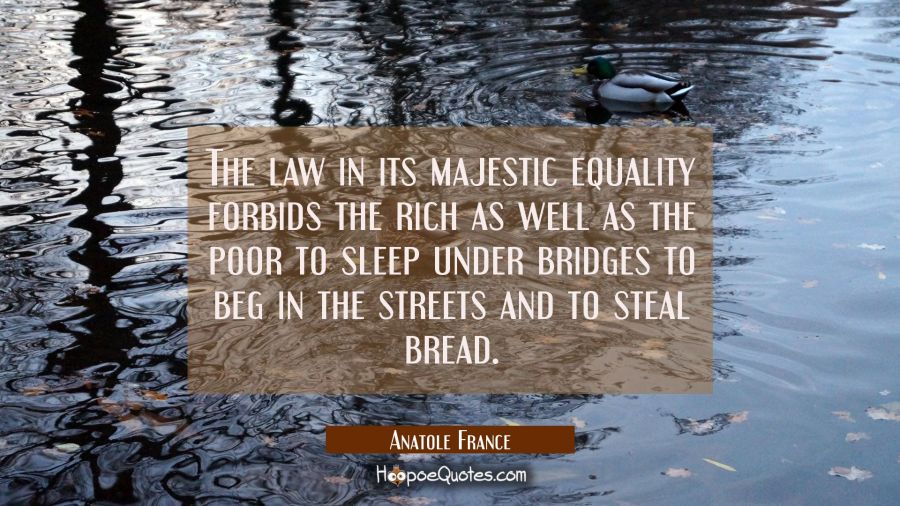 The law in its majestic equality forbids the rich as well as the poor to sleep under bridges to beg Anatole France Quotes